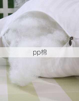 pp棉-第1张图片-隔壁装修网