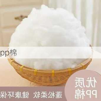 pp棉-第3张图片-隔壁装修网