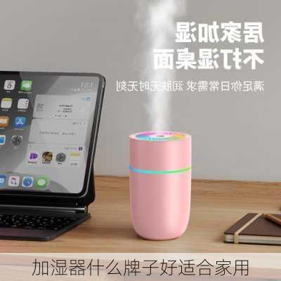 加湿器什么牌子好适合家用-第2张图片-隔壁装修网