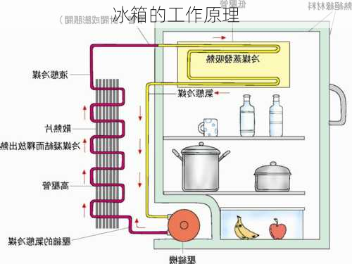 冰箱的工作原理