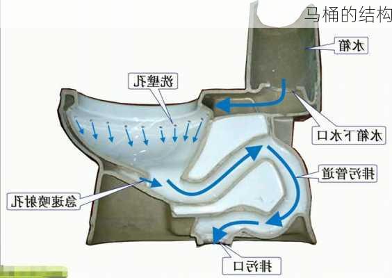 马桶的结构